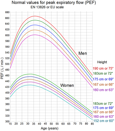 jeugd Pessimist methodologie Normal Peak Expiratory Flow (PEF)